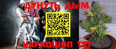 каннабис Будённовск