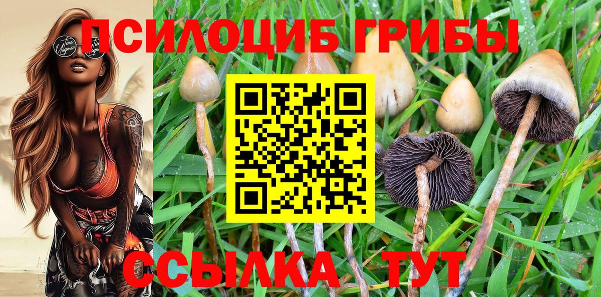 Галлюциногенные грибы мицелий Минеральные Воды
