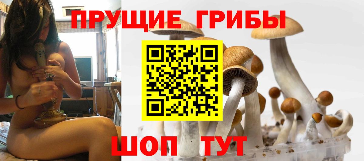 как найти закладки  Псилоцибиновые грибы Psilocybine cubensis  Вход с VPN  Минеральные Воды  Галлюциногенные грибы MAGIC MUSHROOMS 